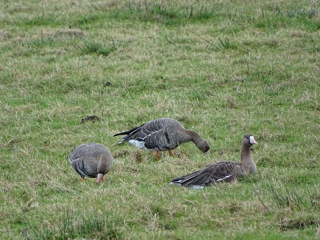 推进比赛 推进比赛